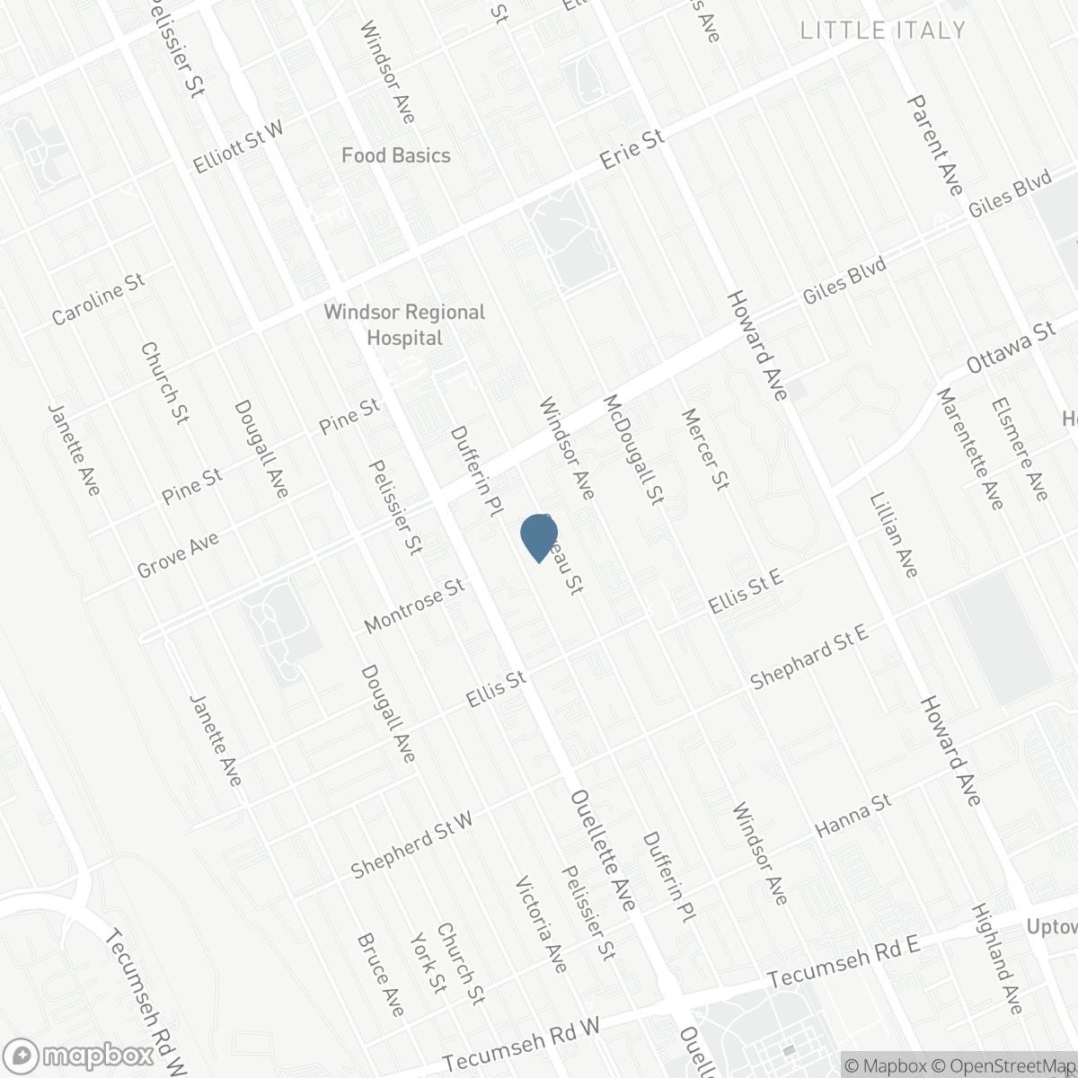 1287 Goyeau, Windsor, Ontario N8X 3K9